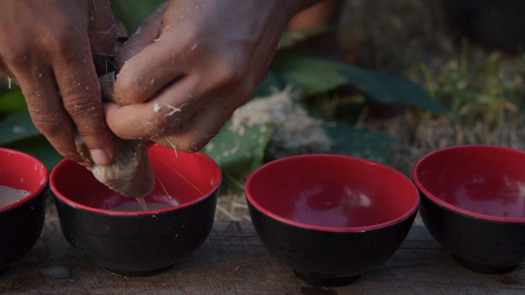 How to Buy High Quality Kava