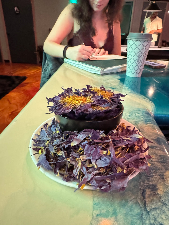 Ah'Koola™ Blue Lotus Flower