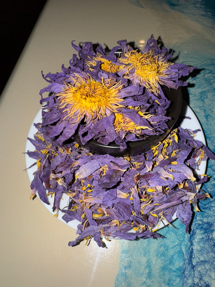 Ah'Koola™ Blue Lotus Flower