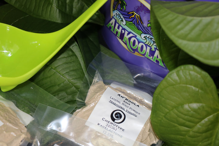 Ah'Koola Homebrew Kava Kit: Vanuatu