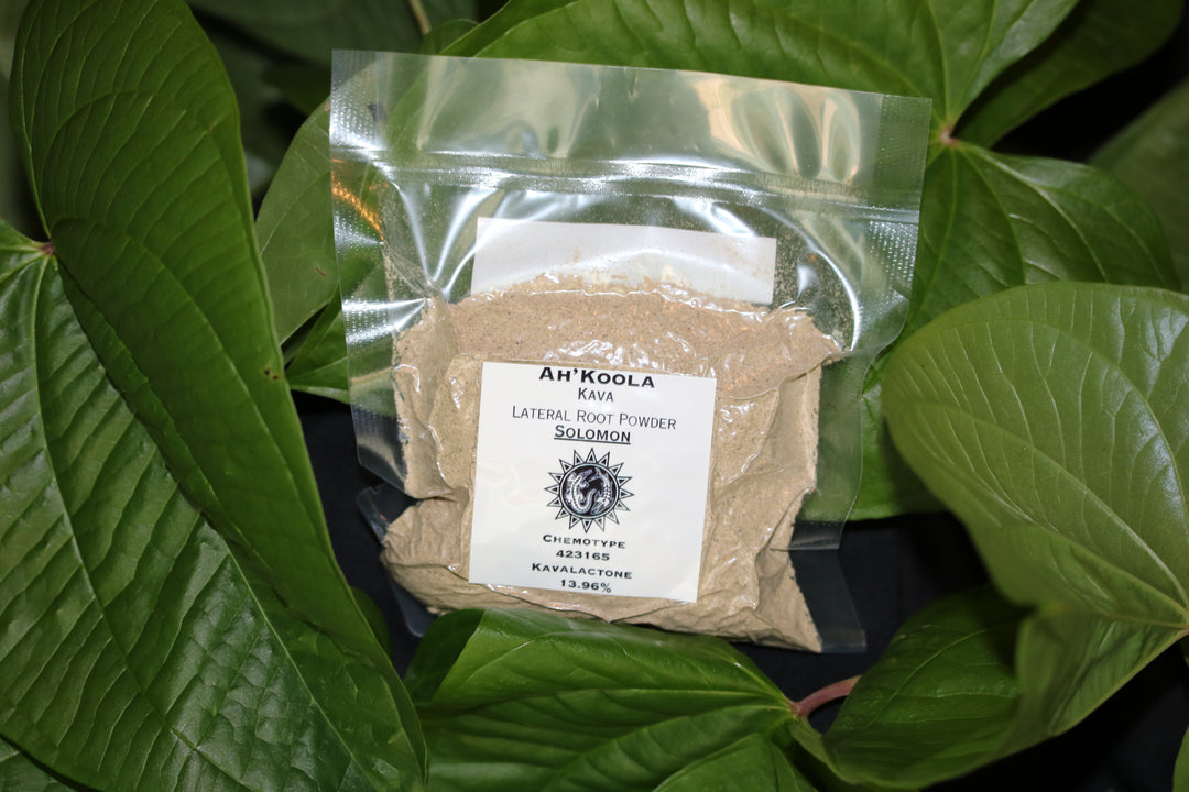 Ah'Koola Kava Noble Root Powder: Solomon