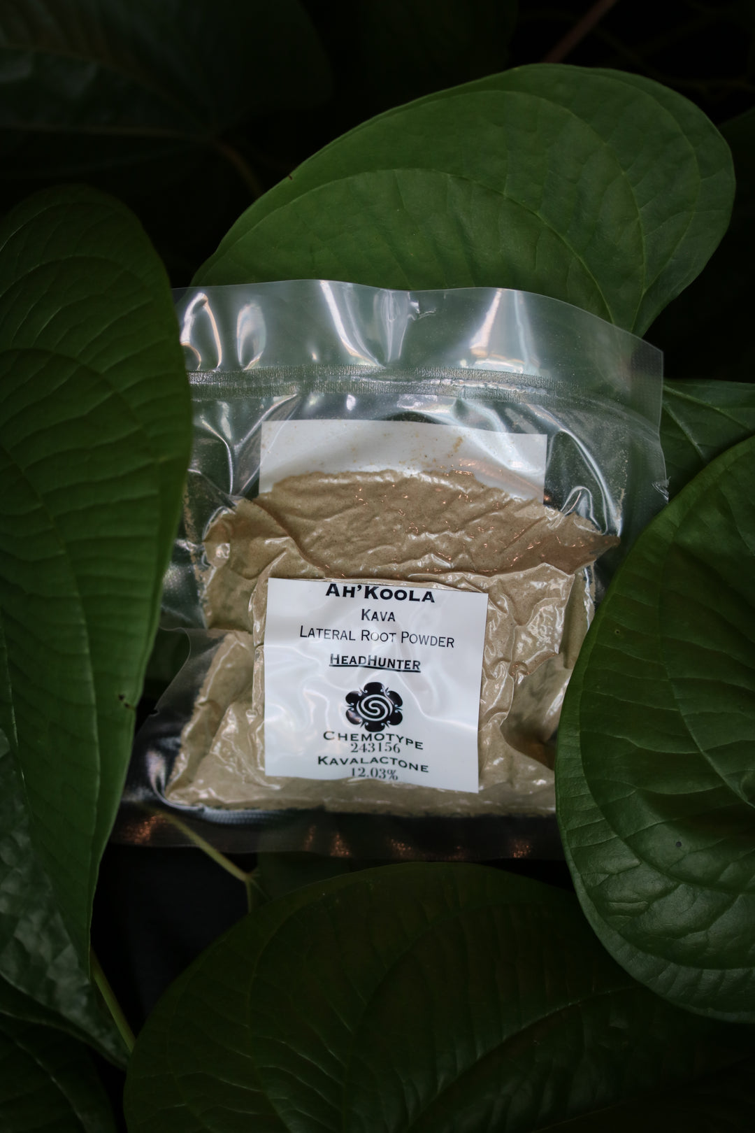 Ah'Koola Kava Noble Root Powder: Headhunter