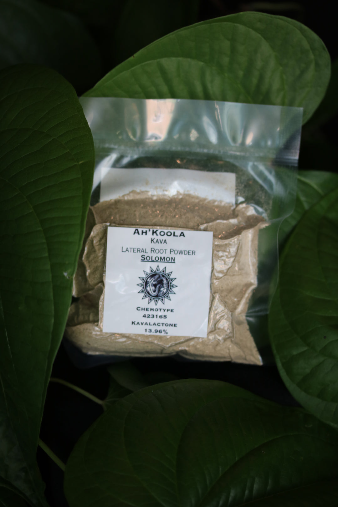 Ah'Koola Homebrew Kava Kit: Solomon