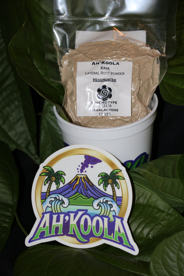 Ah'Koola Kava Noble Root Powder: Headhunter