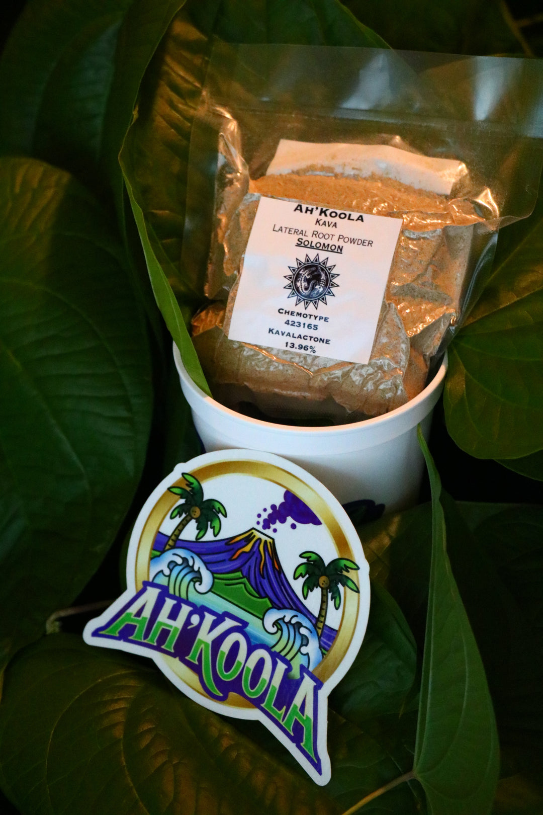 Ah'Koola Kava Noble Root Powder: Solomon